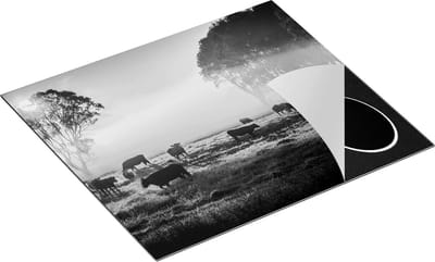 Chefcare Inductie Beschermer Kudde Koeien in de Wei met Zonsopkomst - Zwart Wit - 60x50 cm - Afdekplaat Inductie - Kookplaat Beschermer - Inductie Mat