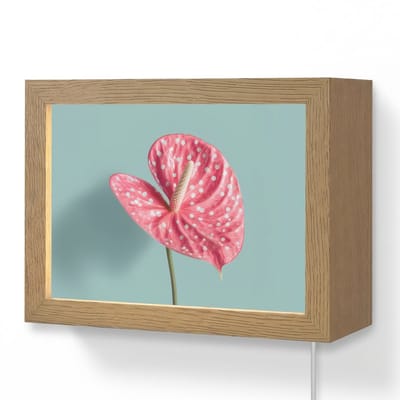 Wandlamp 20x15 cm - Oplaadbaar - Blad - Anthurium - Stippen - Roze - Wandlampen binnen woonkamer - Slaapkamer lamp met kabel - Decoratieve nachtlamp - Vloerlamp snoer