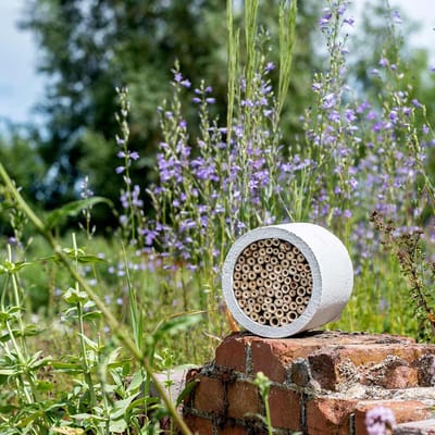 CJ Wildlife Insectenhotel - Isabela - Rond Bijenhotel - Insectenhuis voor o.a. Bijen, Hommels & Lieveheersbeestjes - Bijenkast met Vervangbaar Bamboe Huisje - Grijs