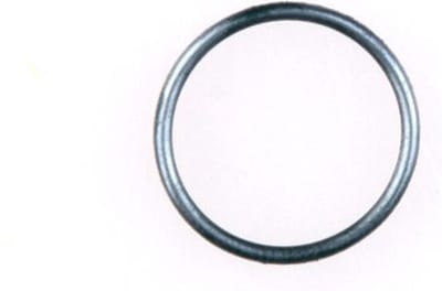 Gloria O-ring 501540