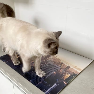 Inductie beschermer 65x52 - afdekplaat inductie mat - Dietrix Kookplaat beschermer - Exclusief - Oude Meesters - Vincent van Gogh Zelfportret