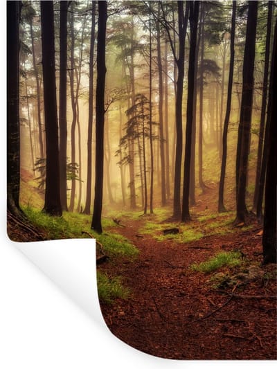 Muurstickers - Sticker Folie - Bomen - Natuur - Bos - 30x40 cm - Plakfolie - Muurstickers Kinderkamer - Zelfklevend Behang - Zelfklevend behangpapier - Stickerfolie