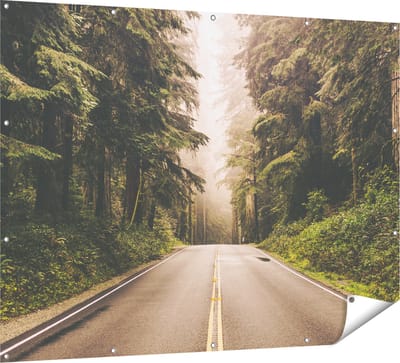 Gards Tuinposter Highway in Californië Omring met Bos - 160x120 cm - Tuindoek - Tuindecoratie - Wanddecoratie buiten - Tuinschilderij