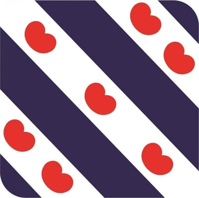 Bierviltjes Friesland - 30x stuks - vierkant - Holland - 9x9 cm - Nederland