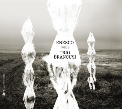 Trio Brancusi - Trios (CD)
