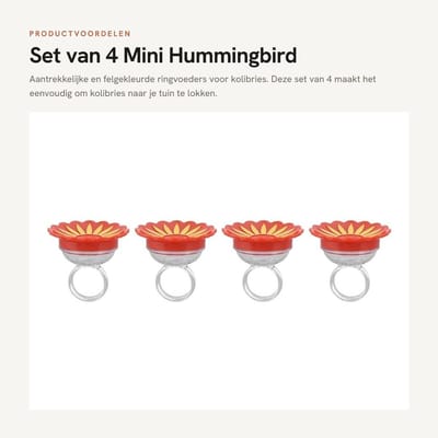 Dailygoods- Kolibrievoeder 4-delig - Handheld Voeder - Compact - Multifunctioneel - Plastic - Aantrekkelijk voor Kolibries - Vogelfeeder