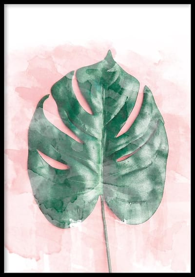 Poster Gatenplant Print - 50x70cm - Plant Poster