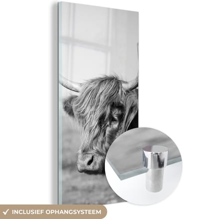 MuchoWow® Glasschilderij 20x40 cm - Schilderij acrylglas - Schotse Hooglander - Dieren - Zwart - Wit - Foto op glas - Schilderijen