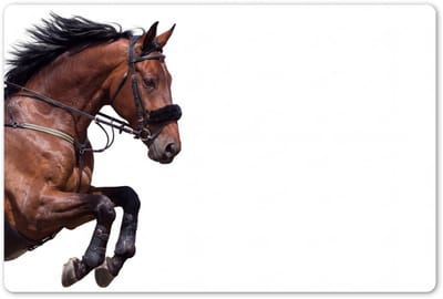 Placemats 45x30 cm - Placemat kunststof - 1 stuk - Paard - Springen - Modern - Borden onderleggers - Decoratie voor op tafel - Keuken tafeldecoratie accessoires - Vinyl onderlegger - Tafelversiering