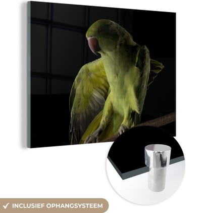 MuchoWow® Glasschilderij 160x120 cm - Schilderij acrylglas - Papegaai - Vogel - Tak - Foto op glas - Schilderijen