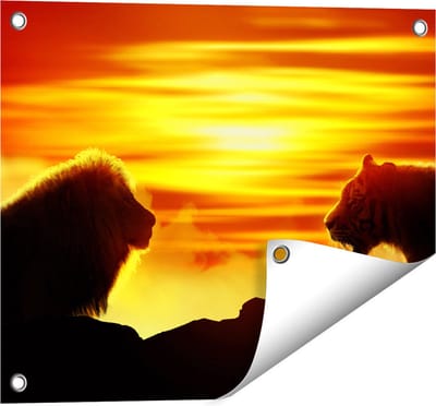 Gards Tuinposter Leeuw en Tijger - Silhouet - Zonsopkomst - 50x40 cm - Tuindoek - Tuindecoratie - Wanddecoratie buiten - Tuinschilderij