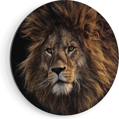 Artaza Dibond Muurcirkel Leeuw - Leeuwenkop - Ø 40 cm - Klein - Wandcirkel - Rond Schilderij - Voor Binnen en Buiten