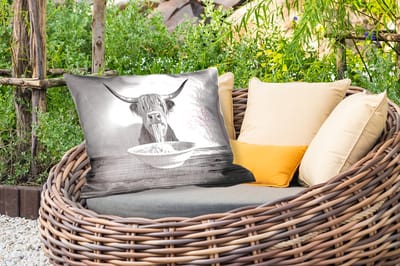 Buitenkussens - Schotse Hooglander - Spaghetti - Dieren - Zwart wit - 60x40 cm - Weerbestendig