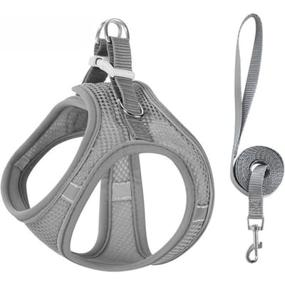 Katten Harnas Vest Borsttouw Set Met 1.5M Touw Reflecterend Ademend Verstelbaar Huisdier Harnas Voor Kleine Middelgrote Hond Buiten Wandelen (Grey,XXS 2-3kg) grijs