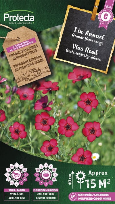Protecta Bloemen zaden: Vlas Rood | Linum grandiflorum
