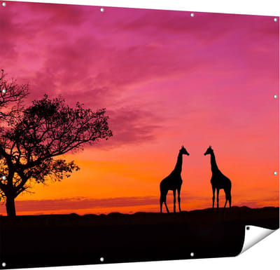 Gards Tuinposter Twee Giraffe Silhouetten bij Zonsondergang - 150x120 cm - Tuindoek - Tuindecoratie - Wanddecoratie buiten - Tuinschilderij