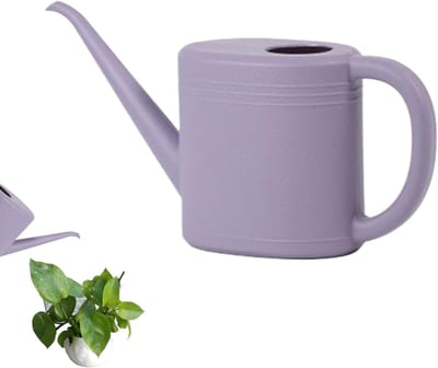Kleine Gieter - Waterkan Planten - Binnen Buiten - Lange Nauwkeurige Tuit - 1 Liter Inhoud