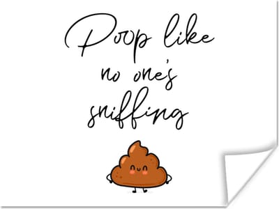 Poster Spreuken - Quotes - Poop like no one's sniffing - Drol - Poop - 160x120 cm XXL