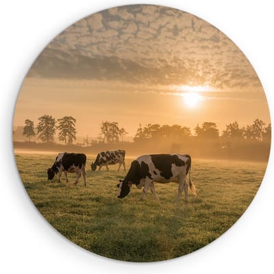 Saammp Muurcirkel Hout - Groep koeien in de zonsondergang - Nederland - Dieren - Ø 90 - Wandcirkel - Wanddecoratie Cirkel - Muurdecoratie Woonkamer - Slaapkamer decoratie - Rond Schilderij