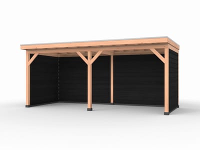 Douglas overkapping, 600 x 250, met zwarte achterwand en twee zijwanden, Westwood Comfort Plus