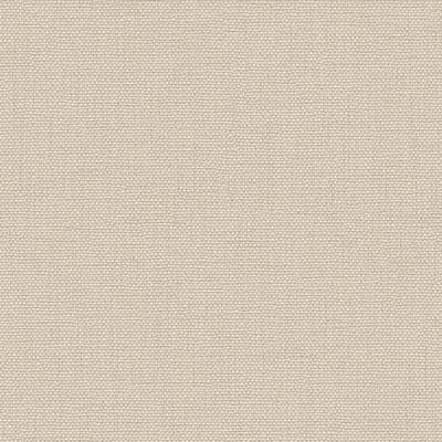 Dutch Wallcoverings - Exclusive Threads Plain Biscuit - TP422942
