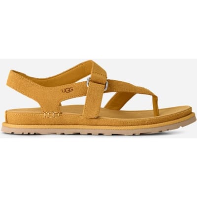 UGG® GoldenGaze Toe Post Sandal in Wheat Field, Size 3, Suede/Polyester/Leather
