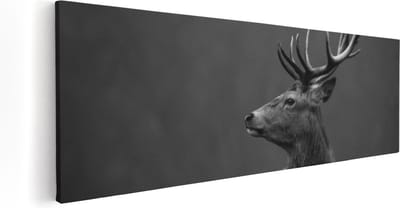 Artaza Canvas Schilderij Hertenkop Met Gewei - 60x20 cm - Muurdecoratie Dierenkop - Wanddecoratie Dieren - Kamer Accessoires
