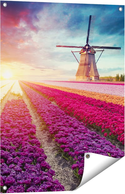 Gards Tuinposter Kleurrijke Tulpen Bloemenveld - Windmolen - 60x80 cm - Tuindoek - Tuindecoratie - Wanddecoratie buiten - Tuinschilderij