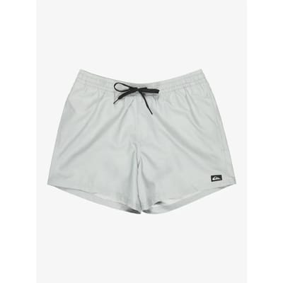 Quiksilver Everyday Solid Volley 15´´ Zwembroek Grijs S Man