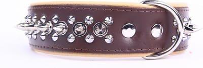 Dog's Companion Leren Halsband - met Spikes - Lengte: 55cm Verstelbaar van: 45-53 cm x 40 mm - Bruin/Naturel