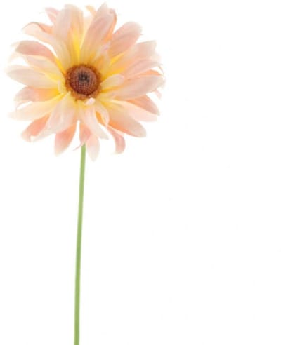 Erutan avon - Gerbera spray Lotte peach 76 cm