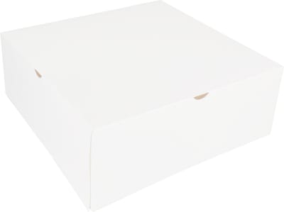 Gebaksdoos | karton | 26x26x10cm | zonder venster | wit | 100 stuks