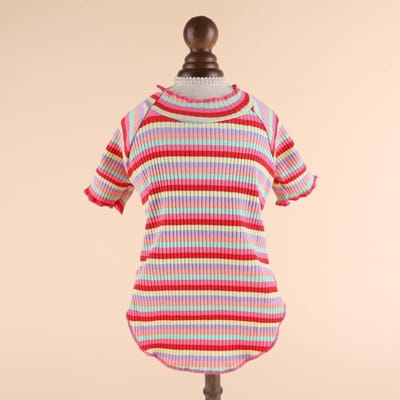 Vêtements pour chiot Teddy Printemps et Automne Chemise de fond Été Coton fin Vêtements pour animaux de compagnie Printemps et Été Chat XXL