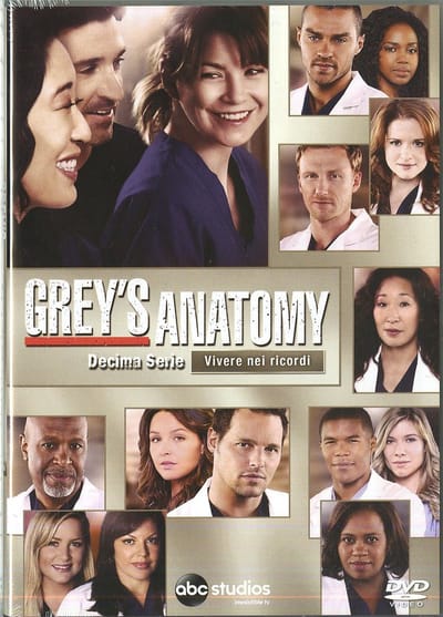 Walt Disney Pictures Grey's Anatomy - Season 10 DVD Engels, Spaans, Italiaans