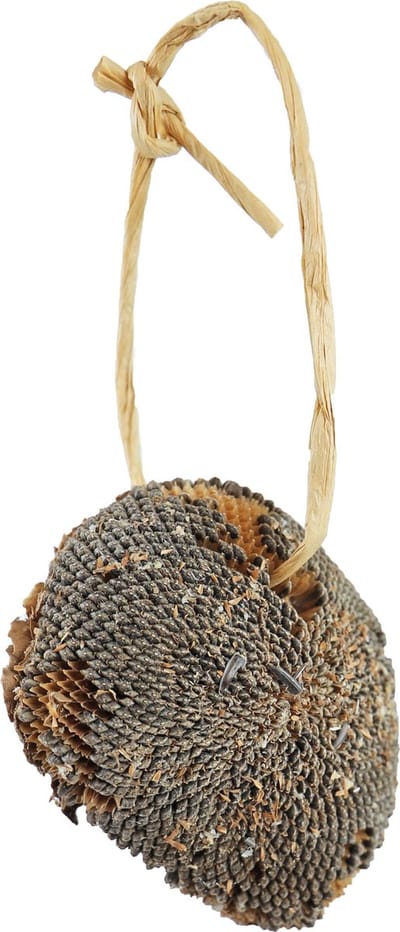 Jr Farm Zonnebloem - Vogelvoer - 12x6.5x18 cm 30 g