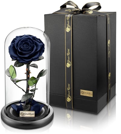 Dailygoods- Roos Echte Premium - Geconserveerde Infinity Roos - Geschenkdoos - Decoratie - Bewijs van Liefde - Lange Houdbaarheid