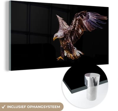 MuchoWow® Glasschilderij 40x20 cm - Schilderij acrylglas - Adelaar - Vogel - Veren - Foto op glas - Schilderijen