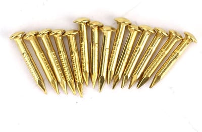 Ronde kop spijkers voor meubels en houtbewerking - 10 mm lengte, set van 100 stuks voor houtbewerkers en klussers