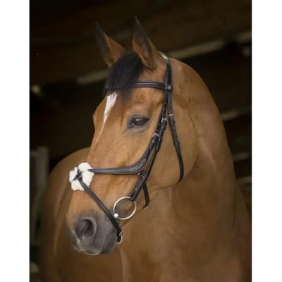 Norton Equestrian Crossed Halter With Neusriem Bruin Full