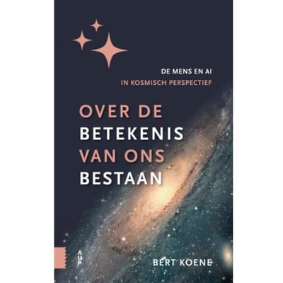 Over De Betekenis Van Ons Bestaan - Bert Koene