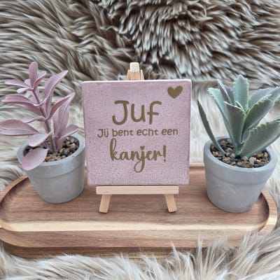 Robuust Wenstegeltje Juf jij bent echt een kanjer! – Cadeau Juffendag – Afscheid Juf – Bedankje – Trendy – Woondecoratie – Cadeautje – Decoratief Tegeltje met Standaard – Cadeau Idee