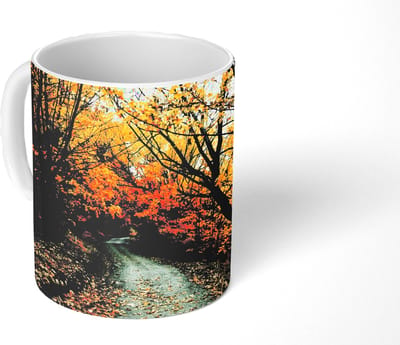 Mok - Koffiemok - Bladeren - Herfst - Bos - Mokken - 350 ML - Beker - Koffiemokken - Theemok