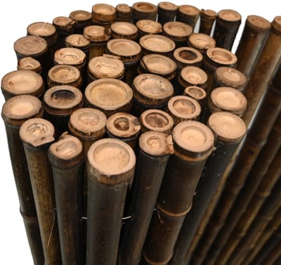 TuinChamp Zwarte bamboemat 25-35mm 100 x 180 cm - Bamboe tuinscherm - Bamboemat op rol - Tuinafscheiding natuurlijk hout - Balkonscherm bamboe - Natuurlijke uitstraling