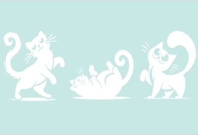 Raam - muur - wall art - stickers grappige katten - poezen - kittens