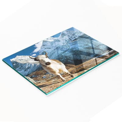 Keuken serveerplank van gehard glas met afbeelding van een bergjak, 80x52 cm