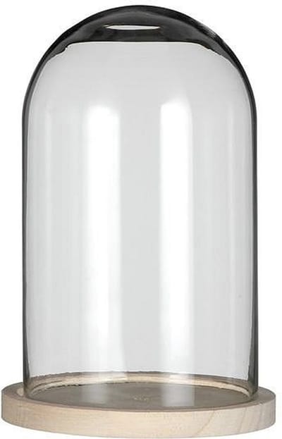 Ideas 4 Seasons Decoratie stolp - glas - houten plateau - D17 x H25 cm