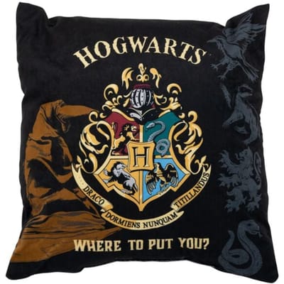 Harry Potter Kussens - Hogwarts - voor Geen - meerkleurig