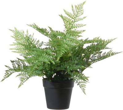 Louis Maes Kunstplant bosvaren Dryopteris Remota - groen - 43 cm - zwarte kunststof pot- Woondecoratie