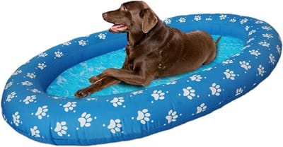 Zwemfloat voor honden - Drijvend platform - Waterpret voor huisdieren - Voorkomt luchtlekkage - 138x94cm - Lichtblauw