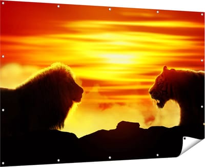 Gards Tuinposter Leeuw en Tijger - Silhouet - Zonsopkomst - 180x120 cm - Tuindoek - Tuindecoratie - Wanddecoratie buiten - Tuinschilderij